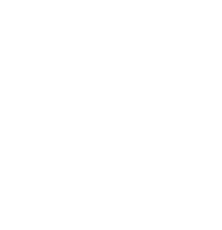 GUARDIANES