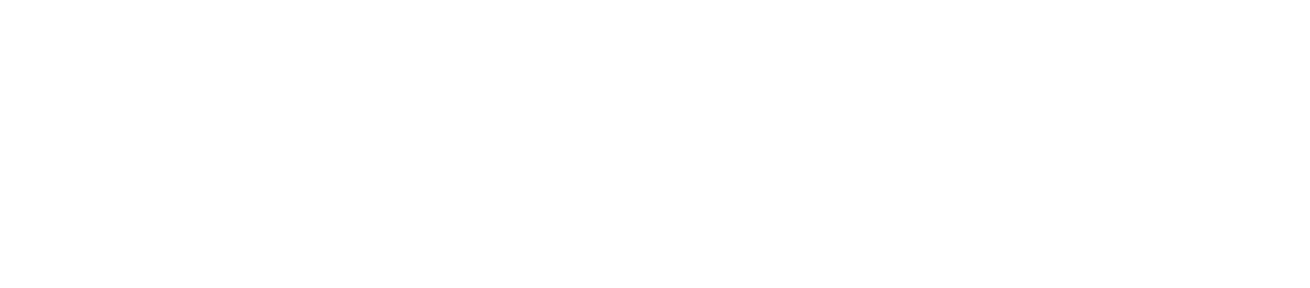 GUARDIANES
